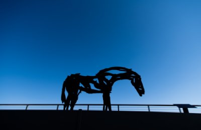A sculpture of a horse made out of burned wood against a blue sky. There is the silhouette of a railing behind the horse. The photo is by Kendra Stanley-Mills.